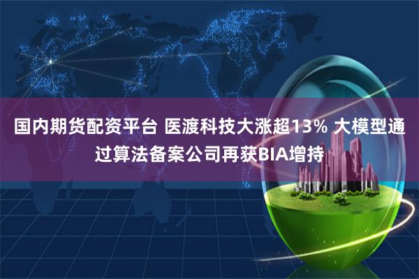 国内期货配资平台 医渡科技大涨超13% 大模型通过算法备案公司再获BIA增持